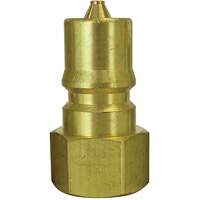 Hydraulic Quick Coupler Plug, 1/8" Dia., Brass D. Morneault & Fils