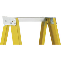 Industrial Heavy-Duty Platform Stepladders (6500 Series), 6', 300 lbs. Cap. D. Morneault & Fils