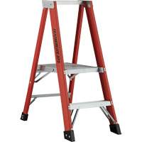 Industrial Extra Heavy-Duty Platform Stepladder (6500 AA Series), 4', 375 lbs. Cap. D. Morneault & Fils