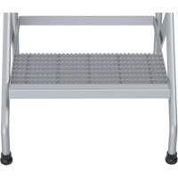 Aluminum Step Stand, 2 Step(s), 22-13/16" W x 24-9/16" L x 20" H, 500 lbs. Capacity D. Morneault & Fils