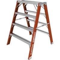 Buildman Step-up Workbench, 4' H x 36.25" W x 40.5" D, 300 lbs. Capacity, Fibreglass D. Morneault & Fils