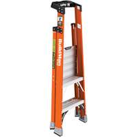 Safespace Platform Step Ladder, 2', 300 lbs. Cap. D. Morneault & Fils