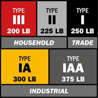 Escabeau avec plateau &agrave; peinture, 10', Aluminium, Capacit&eacute; 225 lb, Type 2 D. Morneault & Fils