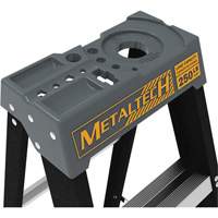 Escabeau avec plateau &agrave; peinture, 10', Fibre de verre, Capacit&eacute; 250 lb, Type 1 D. Morneault & Fils