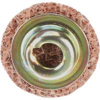 Standard Abrasives Quick-Change Surface Conditioning Disc, 3/4" Dia., Coarse Grit, Aluminum Oxide D. Morneault & Fils