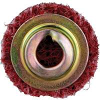 Standard Abrasives Quick-Change Surface Conditioning Disc, 3/4" Dia., Medium Grit, Aluminum Oxide D. Morneault & Fils