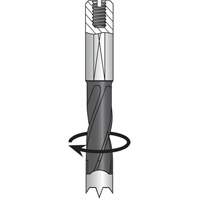 Foret &agrave; percer, Carbure D. Morneault & Fils