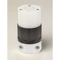 Prise &agrave; broches droites mise &agrave; la terre, 5-15R, Nylon D. Morneault & Fils