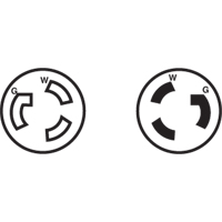 2-Pole 3-Wire Grounding Locking Plug, Nylon, 15 Amps, 250 V, L6-15P D. Morneault & Fils