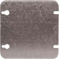 Blank Wall Plate D. Morneault & Fils