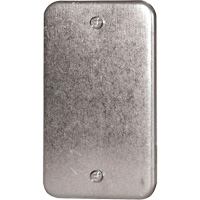 Blank Wall Plate D. Morneault & Fils