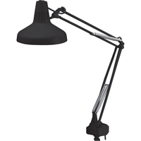 Heavy-duty Combination Task Light, 22/60 W, Fluorescent/Incandescent, 45" Neck, Black D. Morneault & Fils