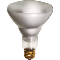 Economy Line Incandescent Lamps D. Morneault & Fils