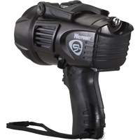 Projecteurs style pistolet Waypoint, DEL, 550 Lumens, Piles C D. Morneault & Fils