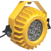 Heavy-Duty LED Dock Light - Head Only D. Morneault & Fils