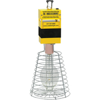 Work Lights D. Morneault & Fils
