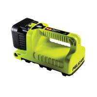 Lanterne, DEL,  Lumens, Piles C D. Morneault & Fils