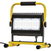 Flood Light, LED, 50 W, 4800 Lumens, Aluminum Housing D. Morneault & Fils