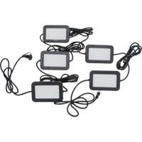 LED String Work Lights, 5 Lights, 50' L, Plastic Housing D. Morneault & Fils