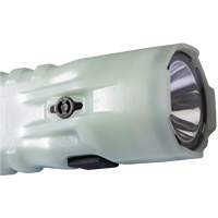 Flashlight, LED, 378 Lumens, AA Batteries D. Morneault & Fils