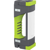 Baladeuse de la s&eacute;rie Pro, DEL, 1000 lumens D. Morneault & Fils