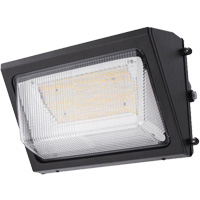 Wall Pack Light Fixture, LED, 120 -347 V, 80 W D. Morneault & Fils