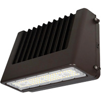 Wall Pack Light Fixture, LED, 120 V, 80 W, 6.5" H x 9.3" W x 14.4" D D. Morneault & Fils
