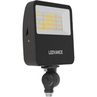 Flood Light D. Morneault & Fils