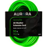 Industrial Extension Cord, All-Weather, SJTW, 10/3 AWG, 15 A, 50' D. Morneault & Fils