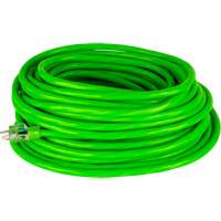 Industrial Extension Cord, All-Weather, SJTW, 10/3 AWG, 15 A, 100' D. Morneault & Fils