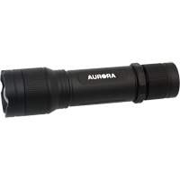 IP67 Flashlight, LED, 2000 Lumens, Rechargeable Batteries D. Morneault & Fils