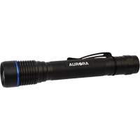 IPX7 Flashlight, LED, 250 Lumens, AA Batteries D. Morneault & Fils